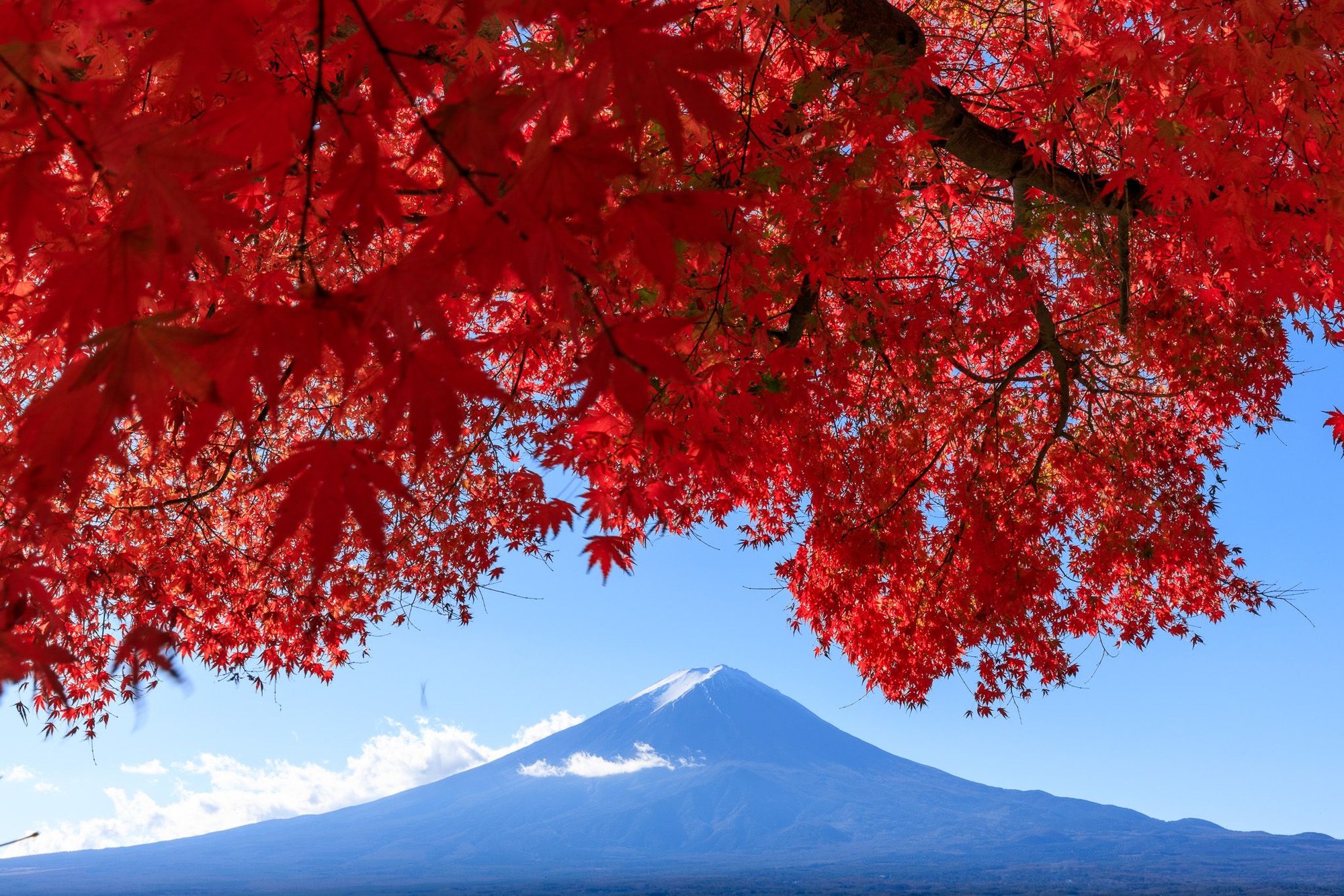  — professional photographer portfolio in Japan Hadi H