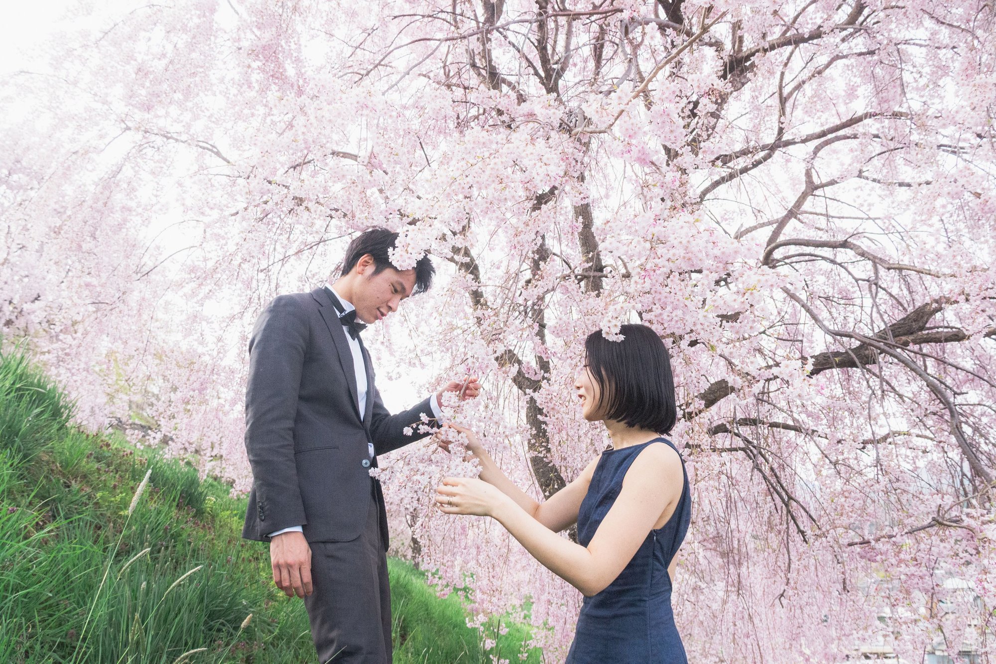  — professional photographer portfolio in Japan Shiina Adachi