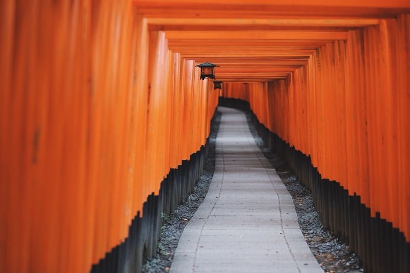 Proposal Photographer in Kyoto