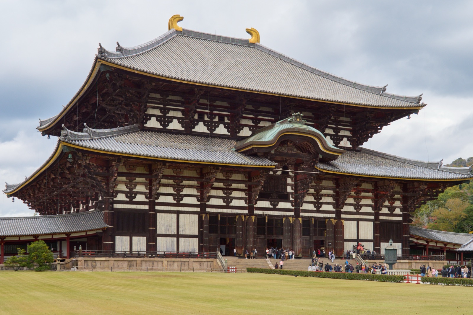 Family Photoshoot in Nara and Kyoto: deer, temple gardens and short walks
