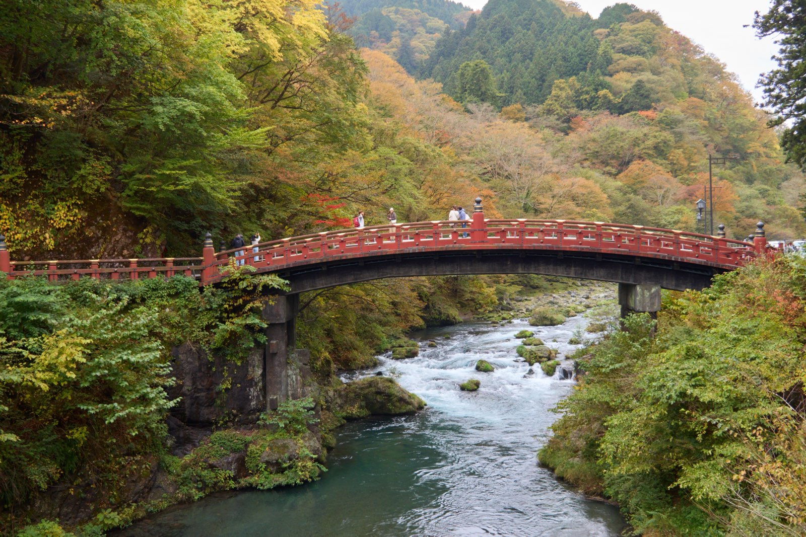 Autumn Colours in Japan: where the maples peak week by week, from Nikko to Kyoto