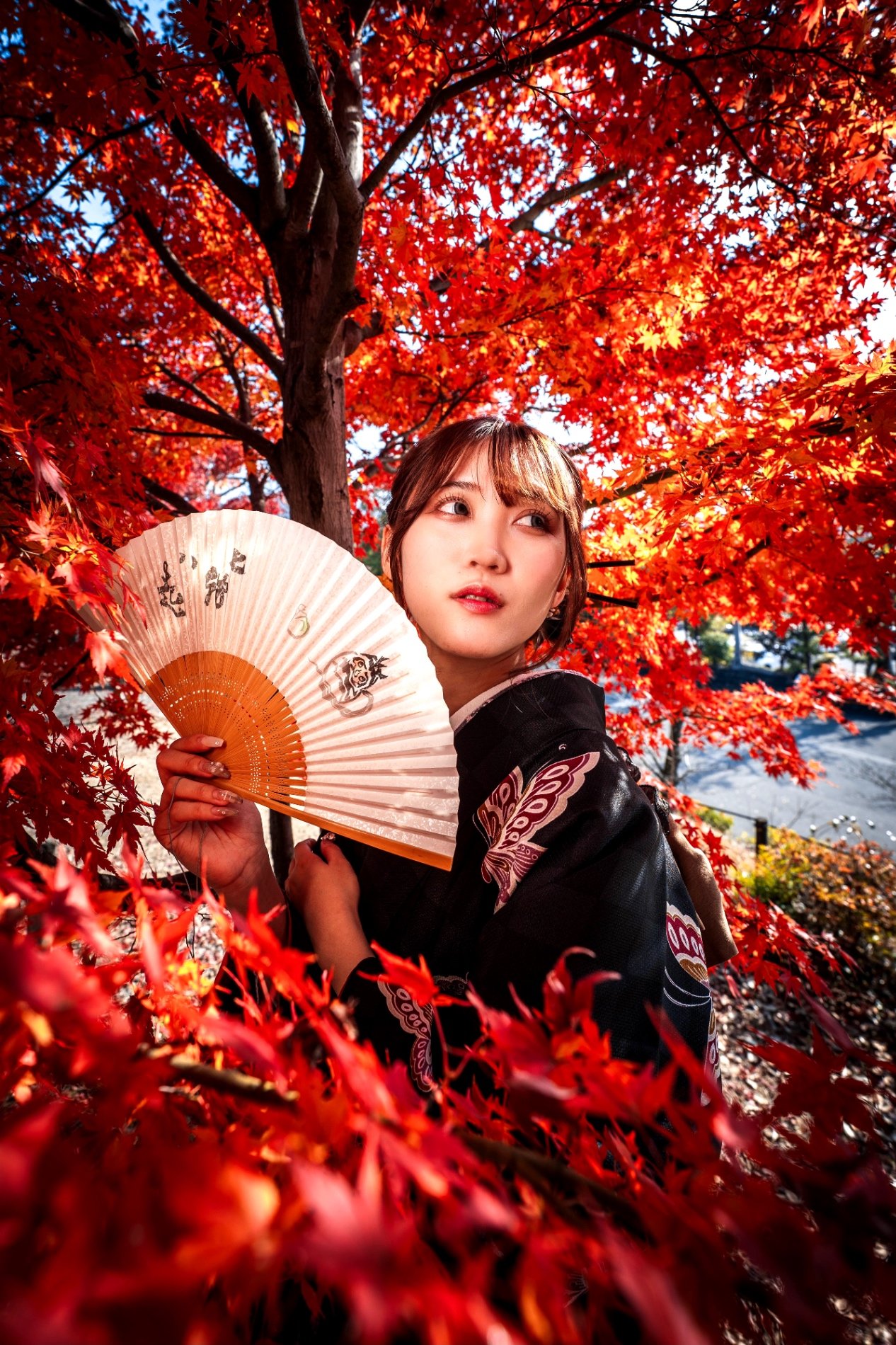 Photo by Soh