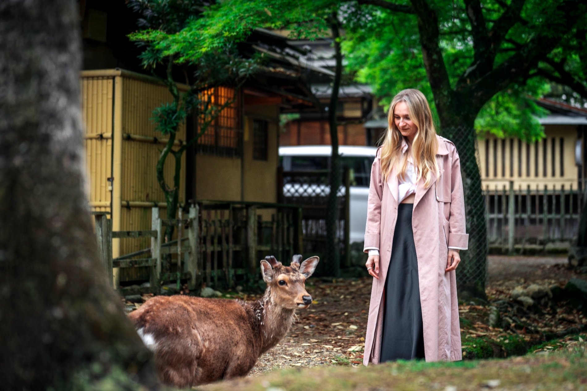 Photography in Nara, Japan
