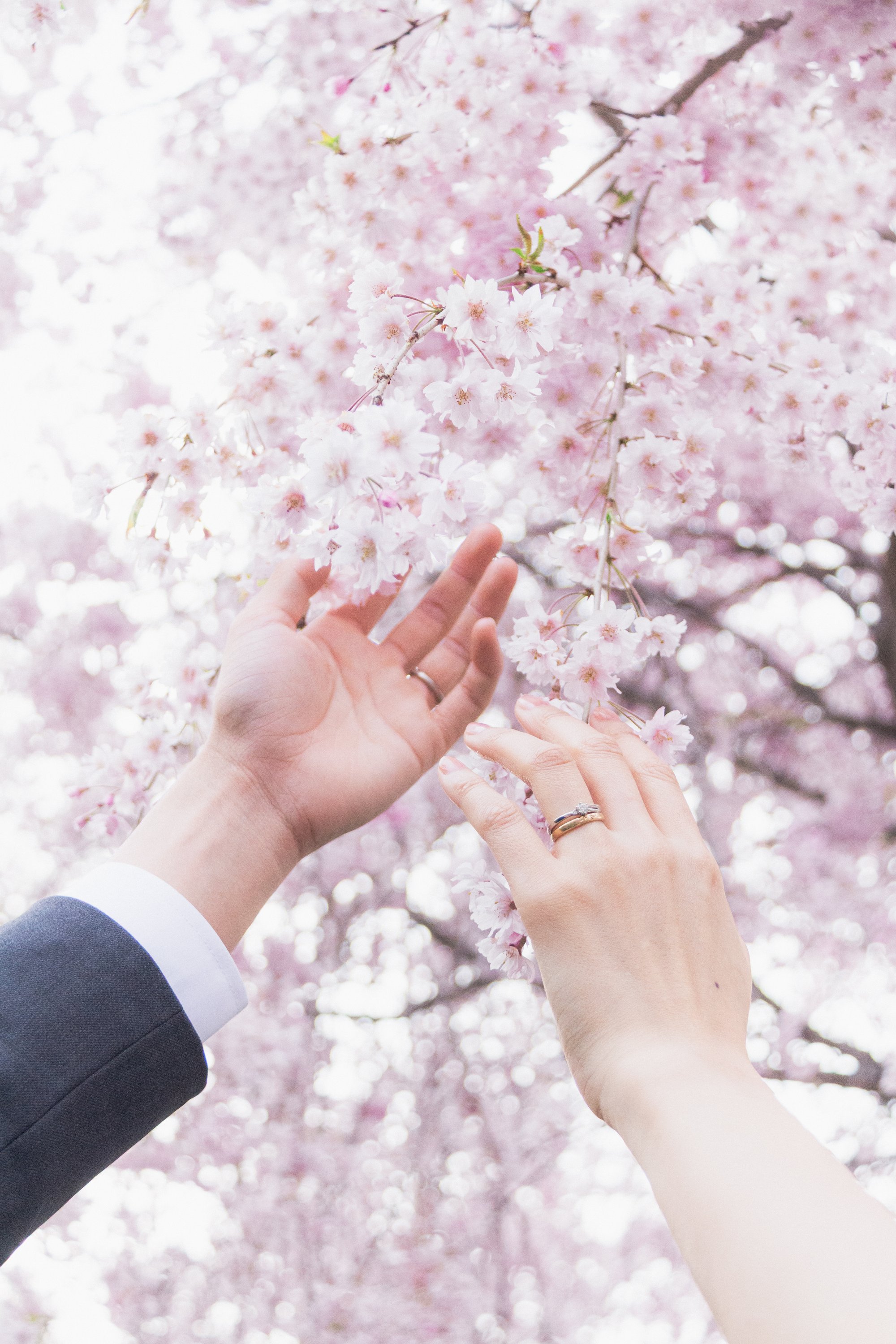 Photo by Shiina Adachi