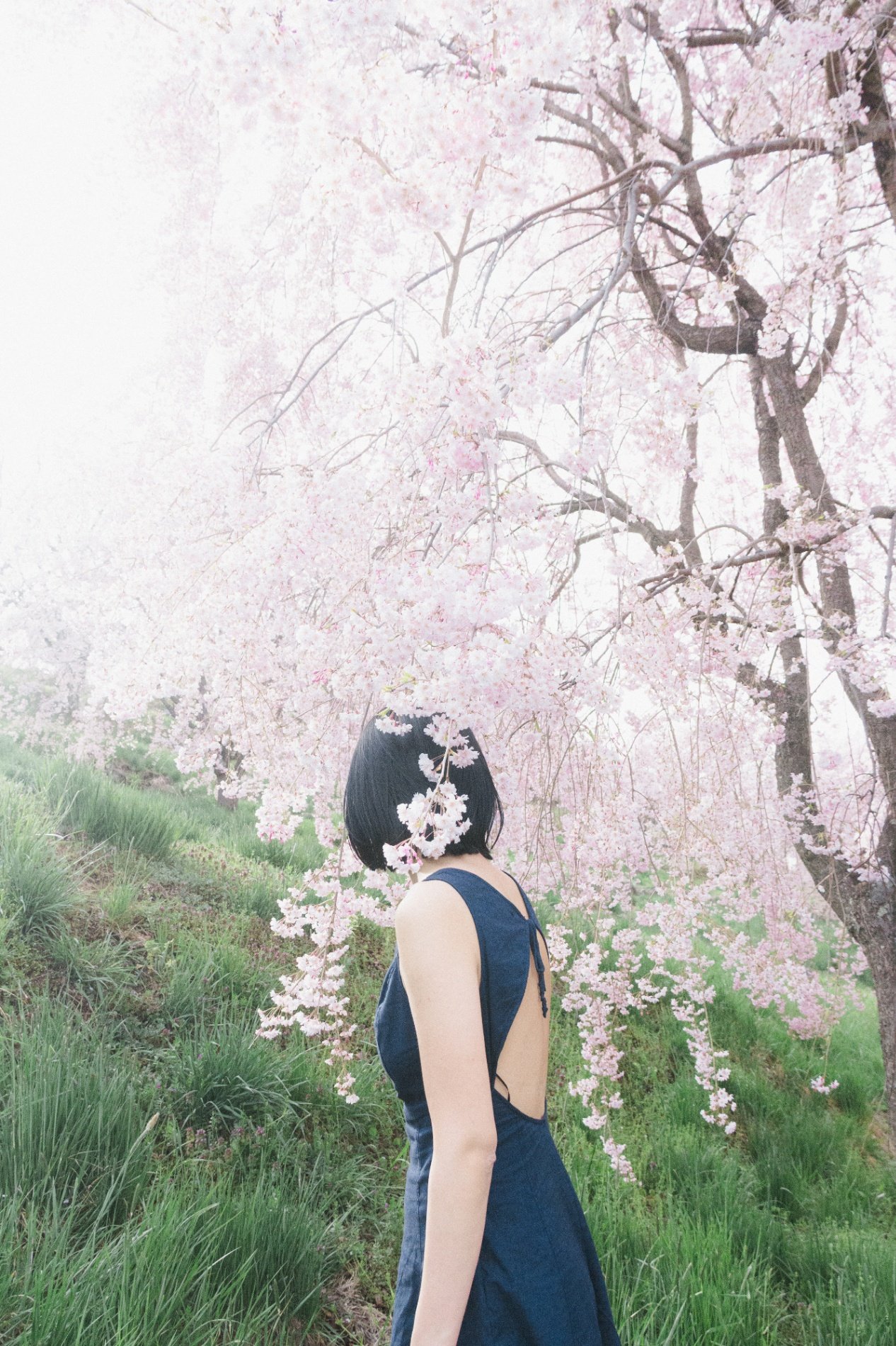 Shiina A portfolio photo 8
