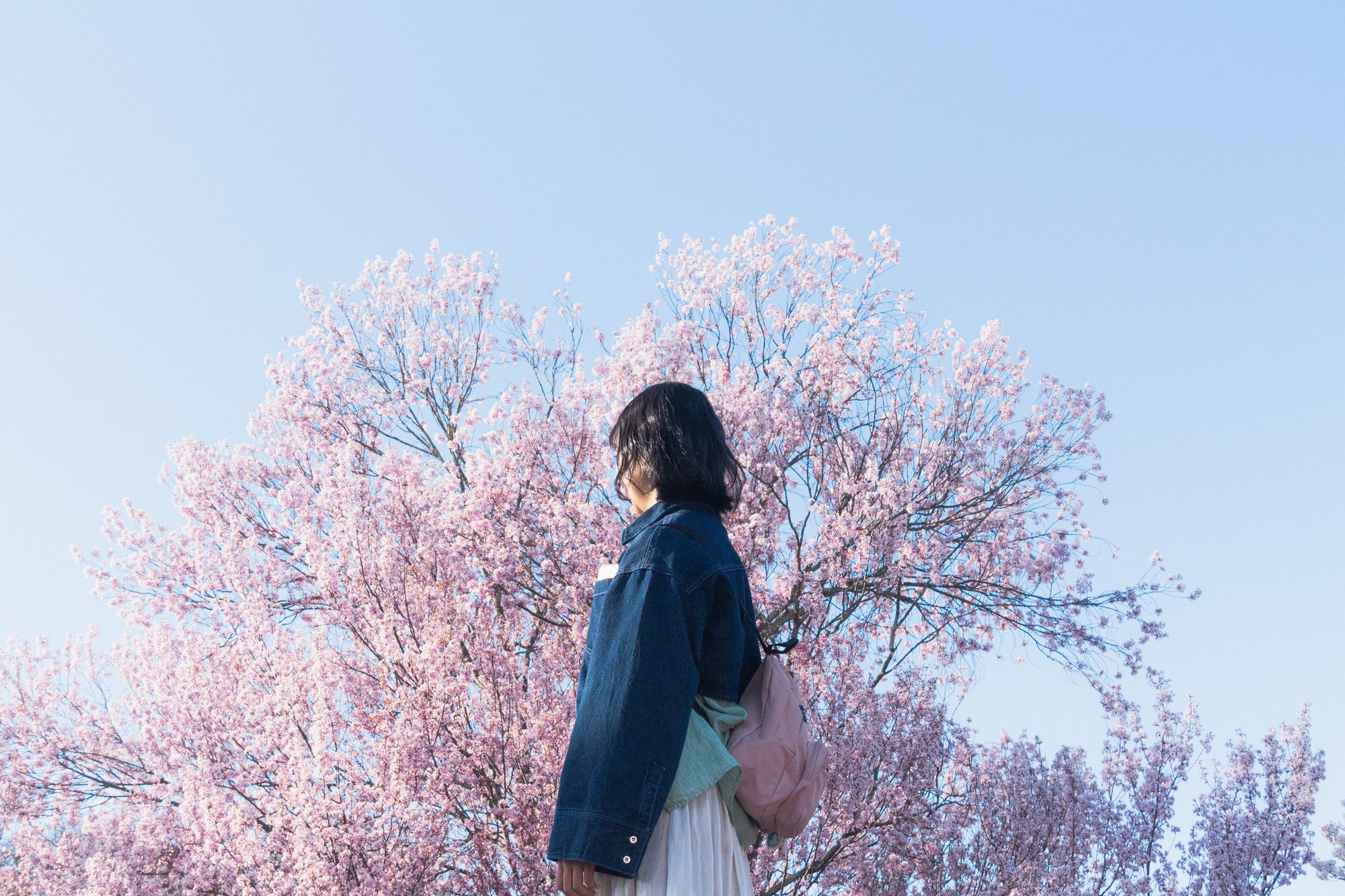 Photo by Shiina Adachi