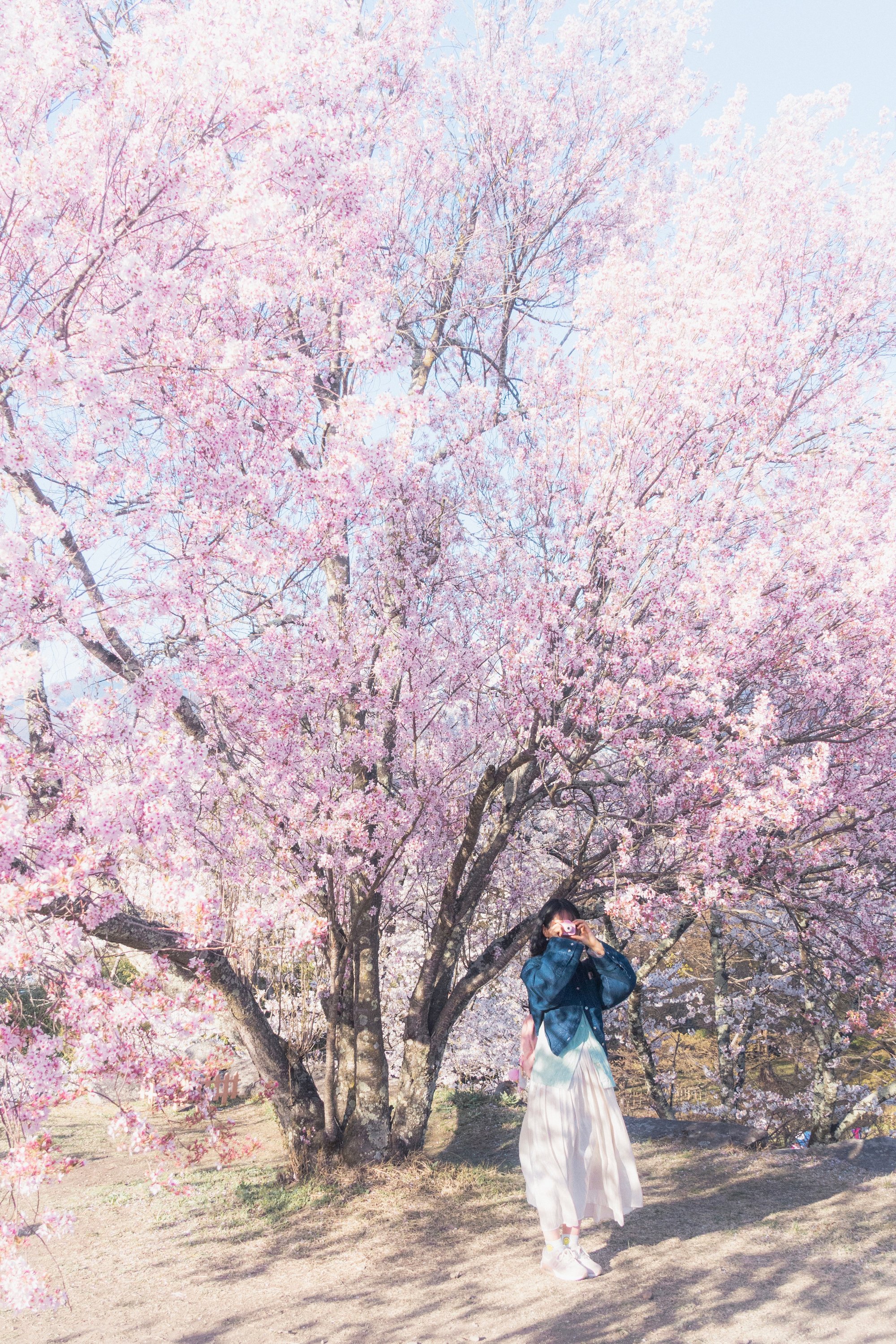 Photo by Shiina Adachi