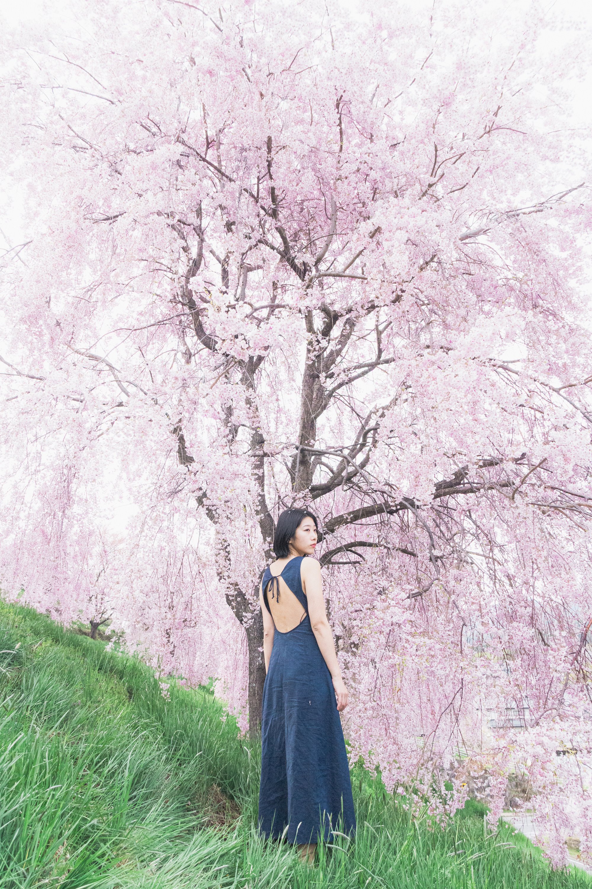 Photo by Shiina Adachi
