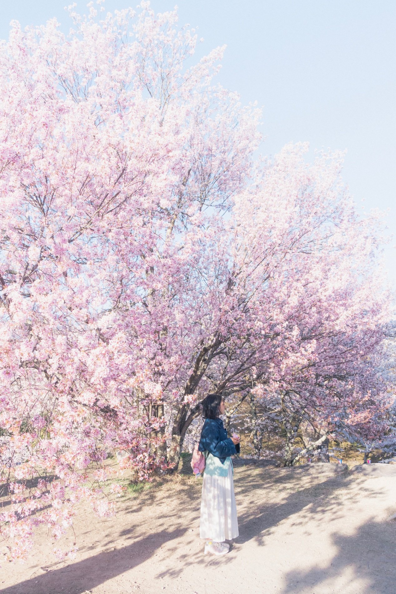 Photo by Shiina Adachi