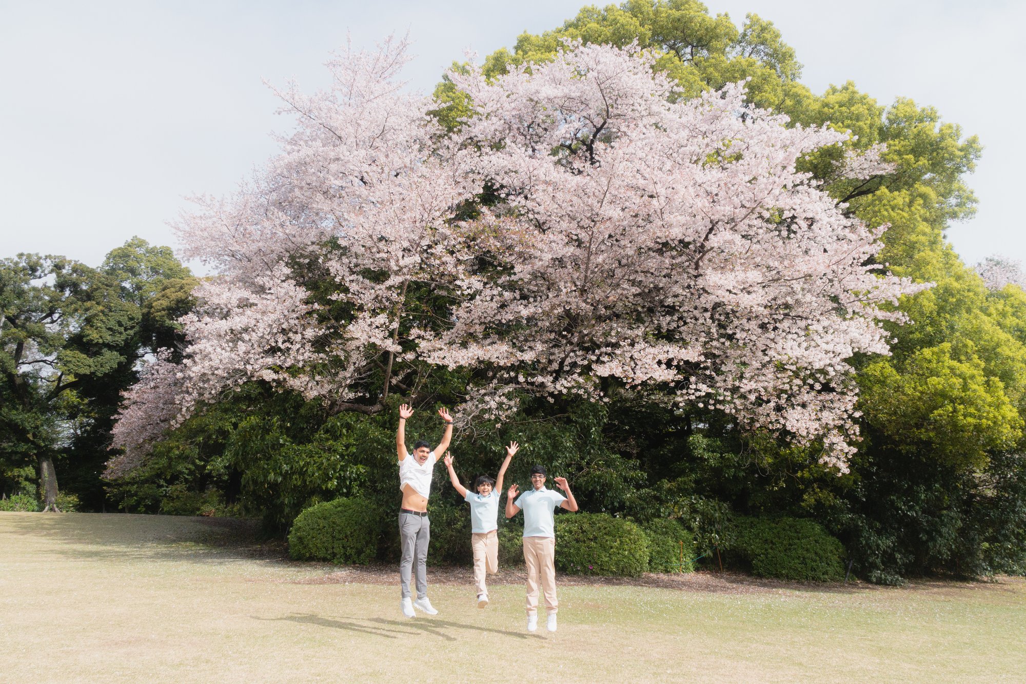 Shiina Adachi portfolio