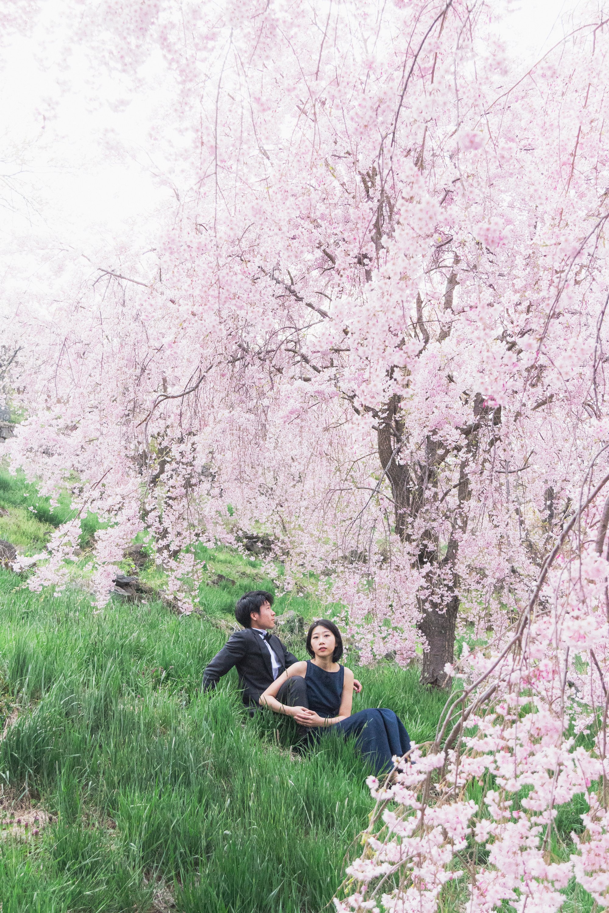 Photo by Shiina Adachi