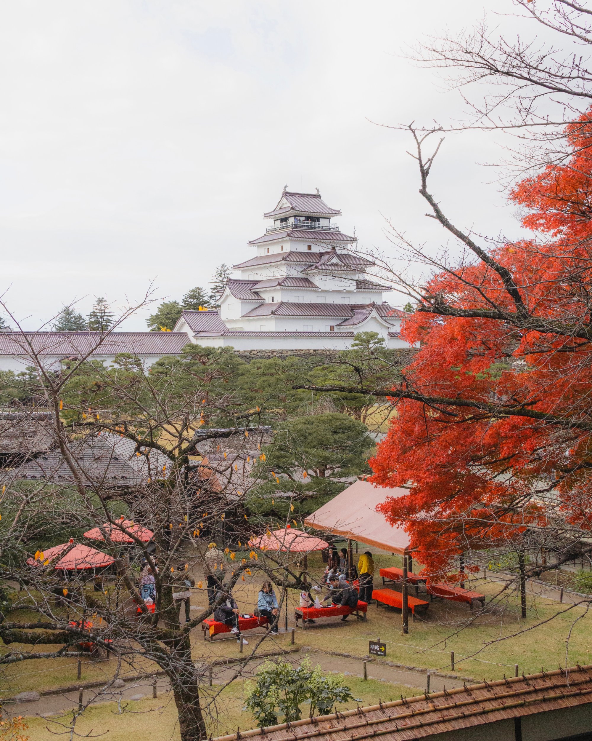 Shiina Adachi — photographer in Kanazawa