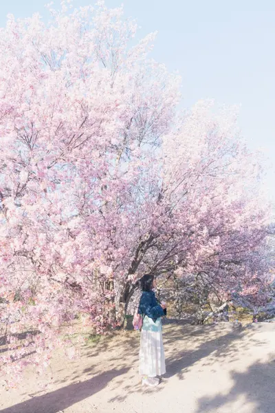 Solo Portrait photoshoot on Lake Kawaguchi by Shiina A