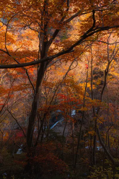 Friends Trip photoshoot in Nikko by Shiina A