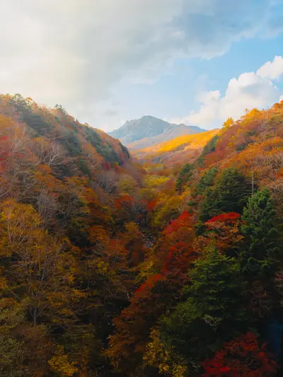 Content Creator photoshoot in Nikko by Shiina A