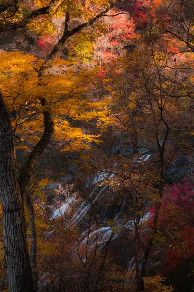 Content Creator photoshoot in Nikko by Shiina A