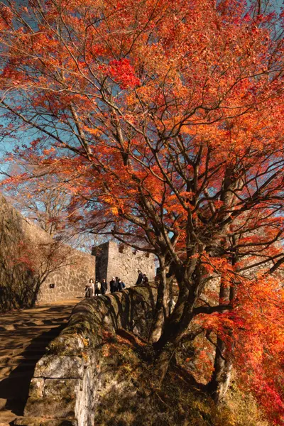 Content Creator photoshoot in Takayama by Shiina A