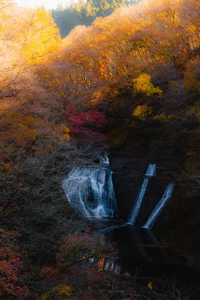 Friends Trip photoshoot in Nikko by Shiina A