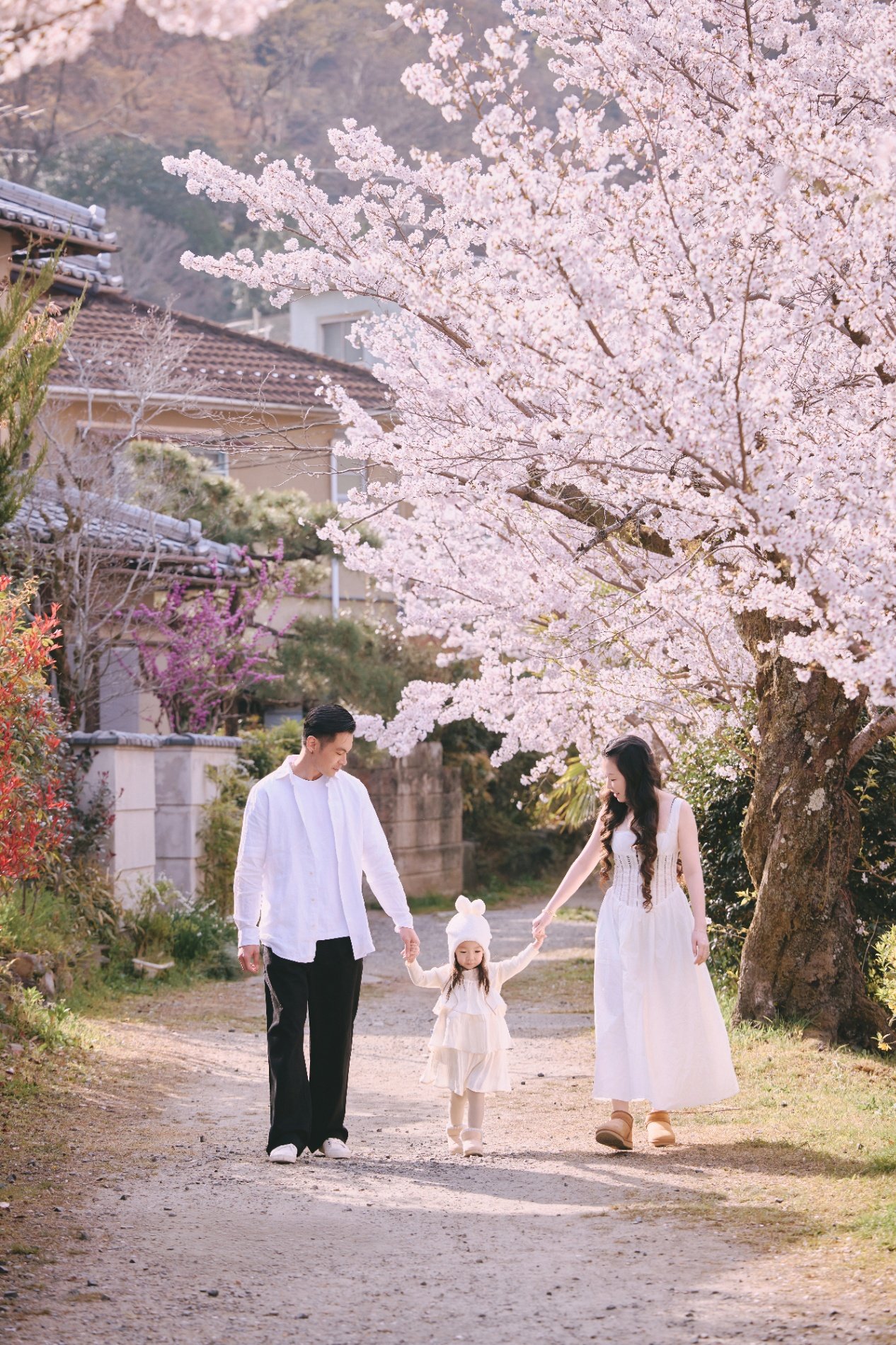 Photo by Sanbao Zhao