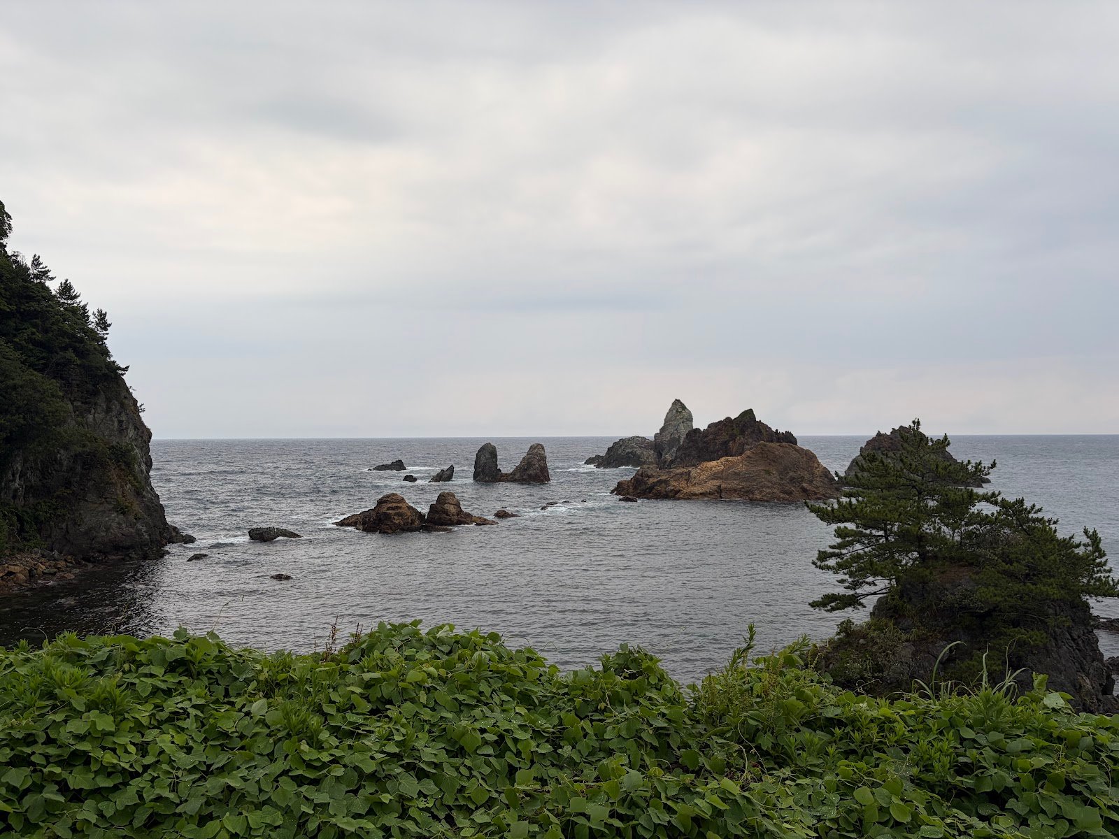 客戶評價照片——Shiina A.
